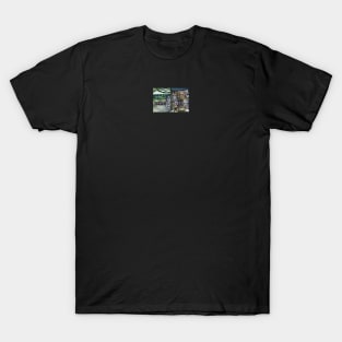 How Does One Image, Unimaginative? T-Shirt